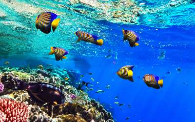 Mauritius, informacje, ocean, pływanie, wakacje w tropikach, Tropical Sun