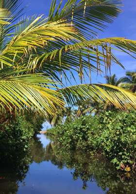 Wycieczki fakultatywne, Dominikana, Redonda Laguna, dzika przyroda, Tropical Sun