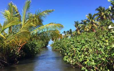 Wycieczki fakultatywne, Dominikana, Redonda Laguna, dzika przyroda, Tropical Sun