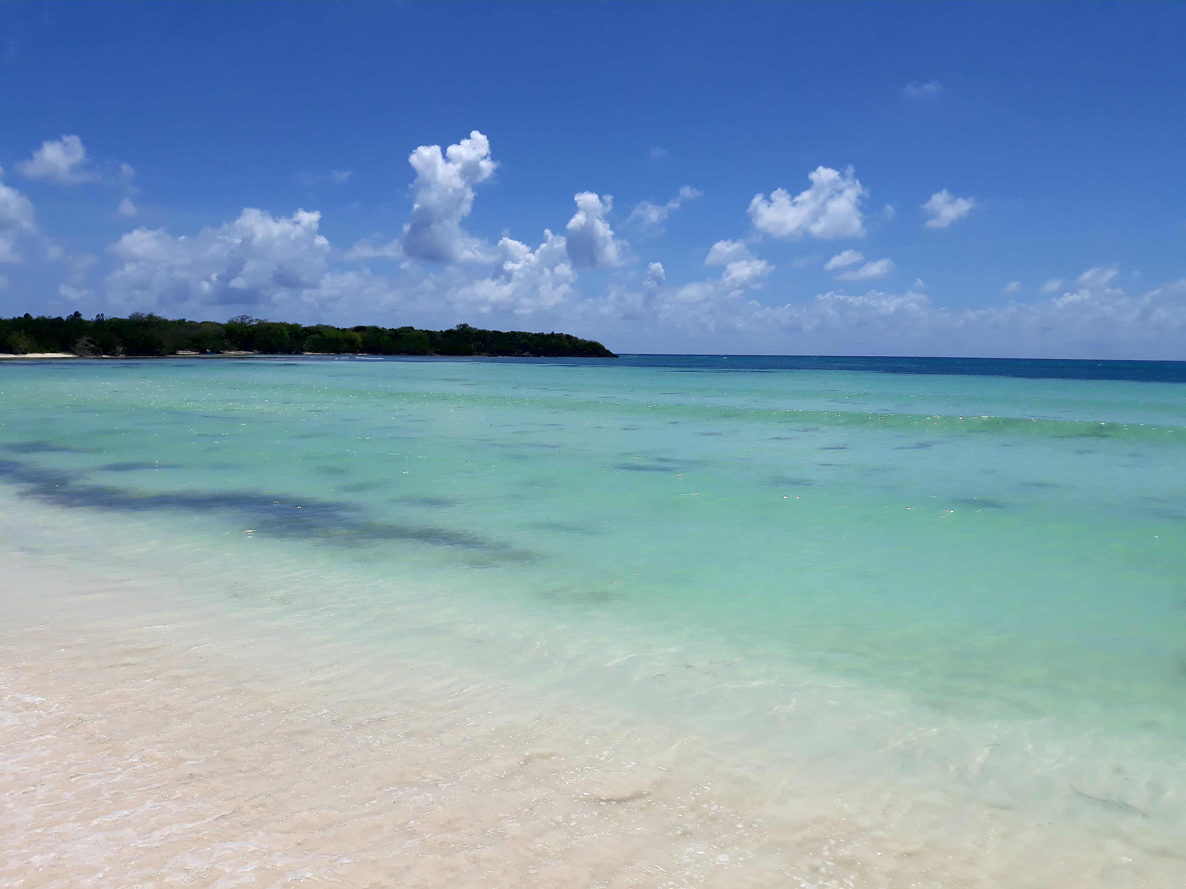 Saona Adventure VIP z Mano Juan, wycieczki fakultatywne Dominikana, Tropical Sun Tours
