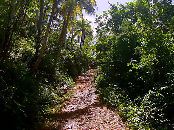 Ekstremalna Dominikana. Przegląd wycieczek cz. 4, puszcza, Tropical Sun Tours