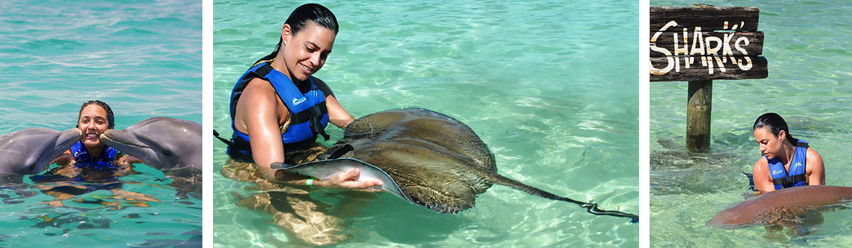 Dolphin Explorer - pływanie z delfinami - Dominikana