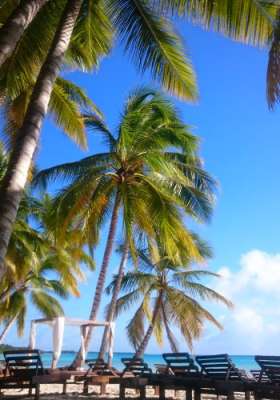 NOWOŚĆ!!! Saona Adventure VIP z Mano Juan, Dominikana - wycieczki fakultatywne