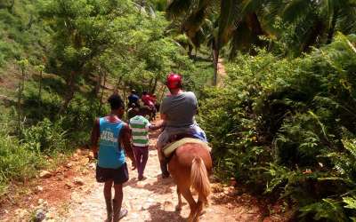 Wycieczki fakultatywne, Dominikana, Samana, Park Los Haitises, Wodospad El Limon, wyspa Bacardi, wyprawa końmi, Tropical Sun
