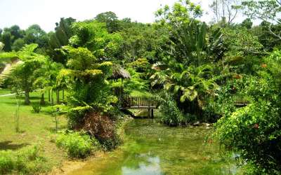 Jamajka, informacje, park, wakacje w tropikach, Tropical Sun
