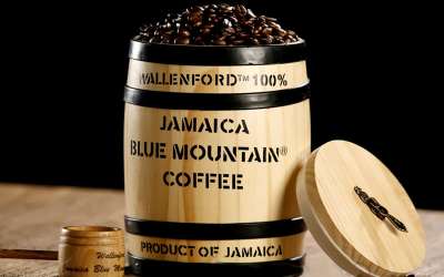 Jamajka, informacje, kawa, wakacje w tropikach, Tropical Sun