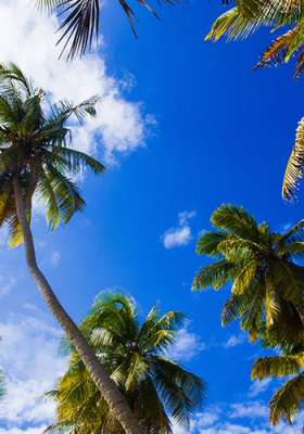 Kierunki - Dominikana, geografia, informacje, Tropical Sun