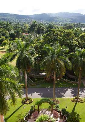 Jamajka, informacje, wakacje w tropikach, Tropical Sun