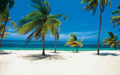 Kuba, geografia, informacje, plaża, palmy, Tropical Sun