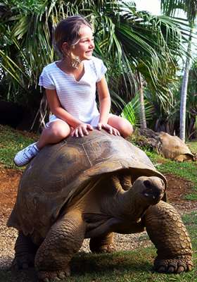 Mauritius, informacje, żółw, wakacje w tropikach, Tropical Sun