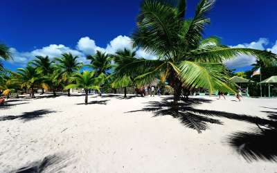 Wyspa Saona Classic, plaża, Tropical Sun