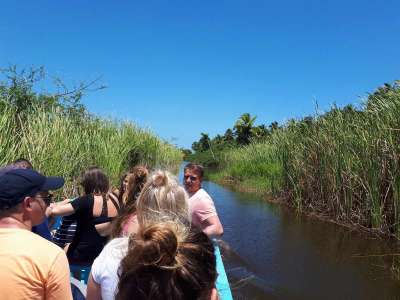 Dominikana - wycieczki fakultatywne zdjęcia. Huśtawki na Górze Czarownic + Magiczna Plaża Limon (Redonda, Laguna, Playa Limon) 01.05.2018 z polskim przewod Dominikana - Huśtawki + Plaża Limon - 01.05.2018