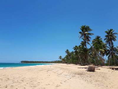 Dominikana - wycieczki fakultatywne zdjęcia. Huśtawki na Górze Czarownic + Magiczna Plaża Limon (Redonda, Laguna, Playa Limon) 01.05.2018 z polskim przewod Dominikana - Huśtawki + Plaża Limon - 01.05.2018