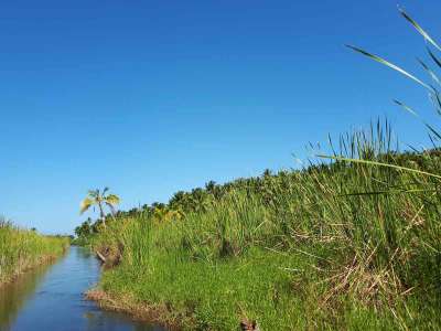 Dominikana - Huśtawki na Górze Czarownic + Magiczna Plaża Limon - zdjęcia z wycieczki 03.03.2018