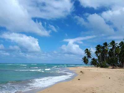 Dominikana - wycieczki fakultatywne zdjęcia. Huśtawki na Górze Czarownic + Magiczna Plaża Limon (Redonda, Laguna, Playa Limon) 19.02.2018 z polskim przewodnikiem na Dominikanie. Konkurencyjne ceny i programy wycieczek, porównując z rico travel Dominikana - Huśtawki na Górze Czarownic + Magiczna Plaża Limon - zdjęcia z wycieczki 19.02.2018