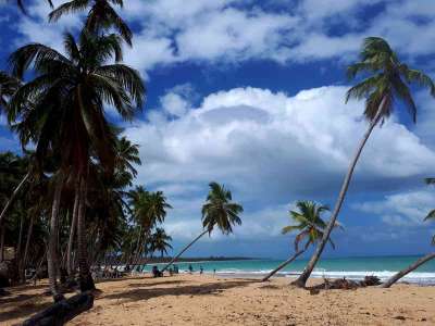 Dominikana - wycieczki fakultatywne zdjęcia. Huśtawki na Górze Czarownic + Magiczna Plaża Limon (Redonda, Laguna, Playa Limon) 19.02.2018 z polskim przewodnikiem na Dominikanie. Konkurencyjne ceny i programy wycieczek, porównując z rico travel Dominikana - Huśtawki na Górze Czarownic + Magiczna Plaża Limon - zdjęcia z wycieczki 19.02.2018