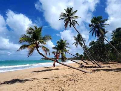 Dominikana - wycieczki fakultatywne zdjęcia. Huśtawki na Górze Czarownic + Magiczna Plaża Limon (Redonda, Laguna, Playa Limon) 19.02.2018 z polskim przewodnikiem na Dominikanie. Konkurencyjne ceny i programy wycieczek, porównując z rico travel Dominikana - Huśtawki na Górze Czarownic + Magiczna Plaża Limon - zdjęcia z wycieczki 19.02.2018