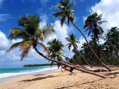 Dominikana - wycieczki fakultatywne zdjęcia. Huśtawki na Górze Czarownic + Magiczna Plaża Limon (Redonda, Laguna, Playa Limon) 19.02.2018 z polskim przewodnikiem na Dominikanie. Konkurencyjne ceny i programy wycieczek, porównując z rico travel Dominikana - Huśtawki na Górze Czarownic + Magiczna Plaża Limon - zdjęcia z wycieczki 19.02.2018