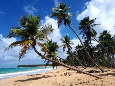 Dominikana - wycieczki fakultatywne zdjęcia. Huśtawki na Górze Czarownic + Magiczna Plaża Limon (Redonda, Laguna, Playa Limon) 19.02.2018 z polskim przewodnikiem na Dominikanie. Konkurencyjne ceny i programy wycieczek, porównując z rico travel Dominikana - Huśtawki na Górze Czarownic + Magiczna Plaża Limon - zdjęcia z wycieczki 19.02.2018