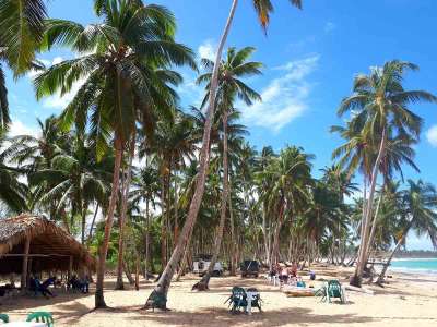 Dominikana - wycieczki fakultatywne zdjęcia. Huśtawki na Górze Czarownic + Magiczna Plaża Limon (Redonda, Laguna, Playa Limon) 19.02.2018 z polskim przewodnikiem na Dominikanie. Konkurencyjne ceny i programy wycieczek, porównując z rico travel Dominikana - Huśtawki na Górze Czarownic + Magiczna Plaża Limon - zdjęcia z wycieczki 19.02.2018