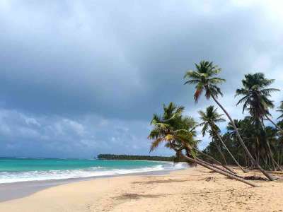 Dominikana - wycieczki fakultatywne zdjęcia. Huśtawki na Górze Czarownic + Magiczna Plaża Limon (Redonda, Laguna, Playa Limon) 19.02.2018 z polskim przewodnikiem na Dominikanie. Konkurencyjne ceny i programy wycieczek, porównując z rico travel Dominikana - Huśtawki na Górze Czarownic + Magiczna Plaża Limon - zdjęcia z wycieczki 19.02.2018