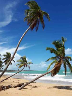 Dominikana - Huśtawki na Górze Czarownic + Magiczna Plaża Limon - zdjęcia z wycieczki 23.02.2018