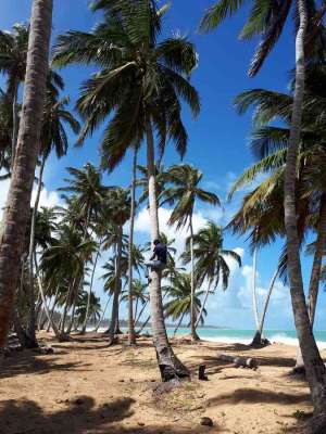 Dominikana - Huśtawki na Górze Czarownic + Magiczna Plaża Limon - zdjęcia z wycieczki 23.02.2018
