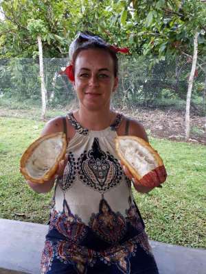 Dominikana - foto - wycieczki fakultatywne. Vida Dominicana 09.02.2018. Polskie wycieczki fakultatywne. Dominikana zdjęcia Dominikana - Vida Dominicana - zdjęcia z wycieczki 09.02.2018
