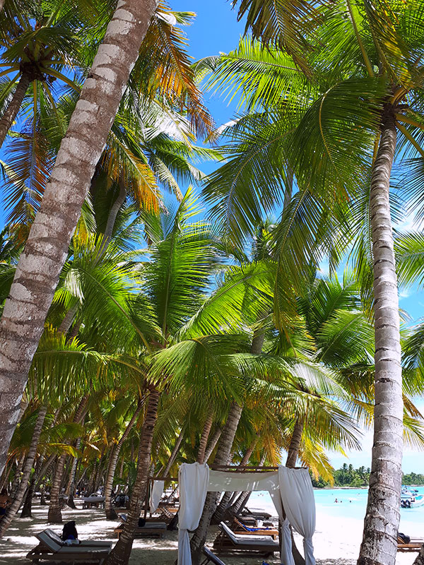 Wakacje na Dominikanie – co powinieneś wiedzieć ? Bezpieczeństwo, opieka medyczna, waluta, Tropical Sun Tours