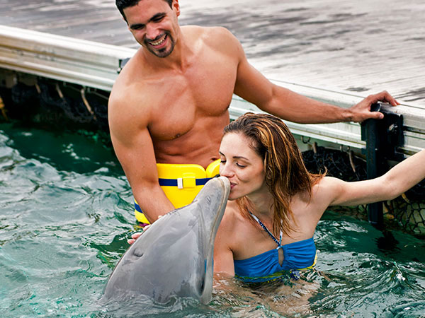 Dolphin Explorer, pływanie z delfinami, Tropical Sun