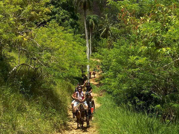 Wycieczki fakultatywne, Dominikana, konno do wodospadu El Limon, Tropical Sun